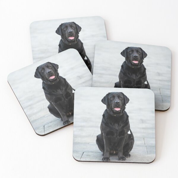 Item preview, Black Labrador Retriever Chilling designed and sold by VanGaldo.