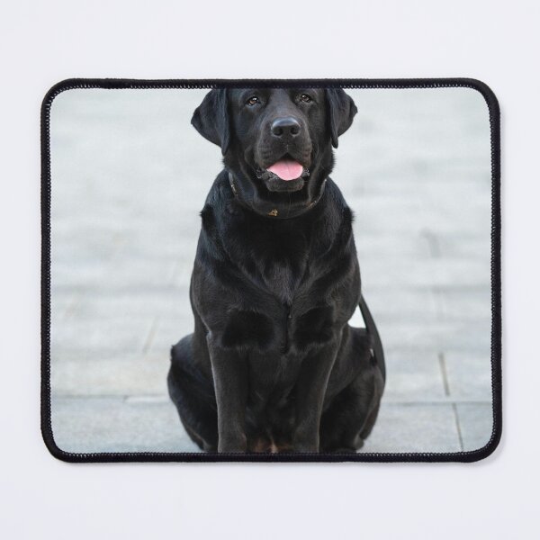 Item preview, Black Labrador Retriever Chilling designed and sold by VanGaldo.