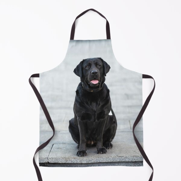 Item preview, Black Labrador Retriever Chilling designed and sold by VanGaldo.