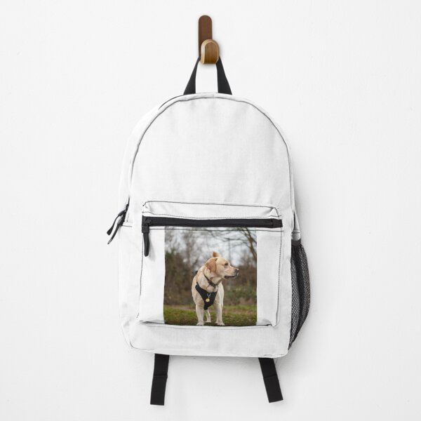 Item preview, Labrador Retriever Exploring the Park designed and sold by VanGaldo.