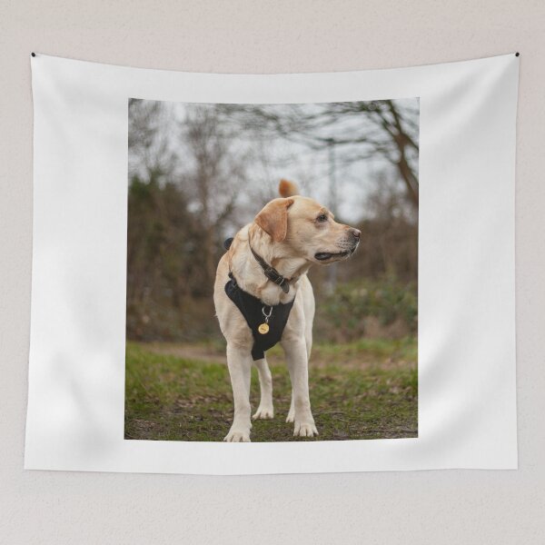Item preview, Labrador Retriever Exploring the Park designed and sold by VanGaldo.