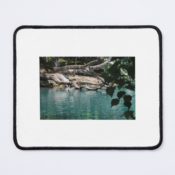 Item preview, 38 Bayou Water designed and sold by angelobates.