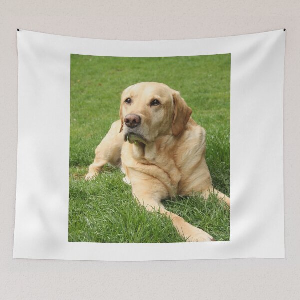 Item preview, Labrador Retriever Dog Resting on Grass designed and sold by VanGaldo.