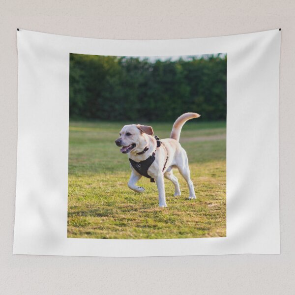Item preview, Labrador Retriever Dog Loves Running designed and sold by VanGaldo.
