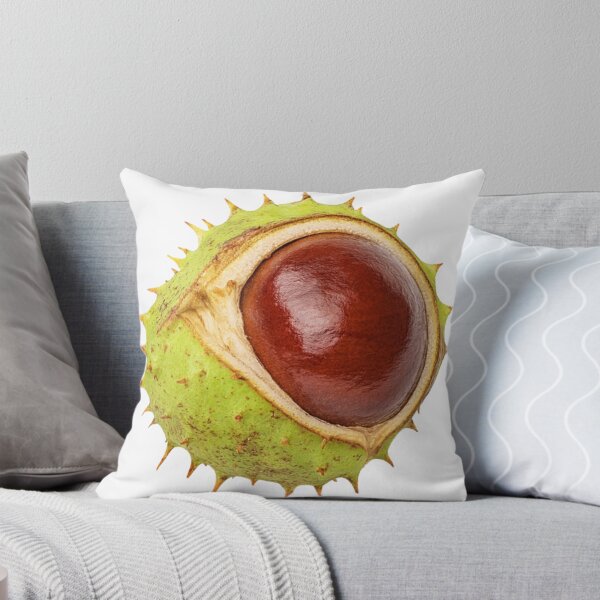 Item preview, Don’t judge me by my shell designed and sold by D-T-Official.