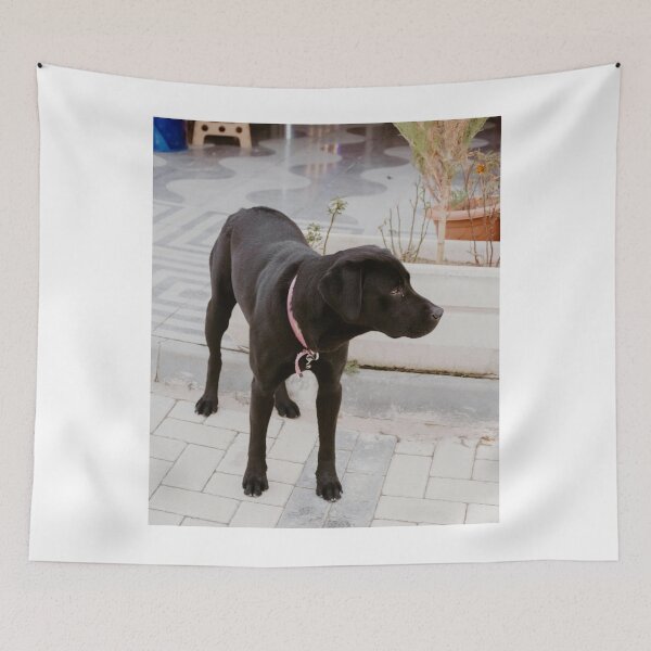 Item preview, Black Labrador Retriever Dog Wandering in Town designed and sold by VanGaldo.