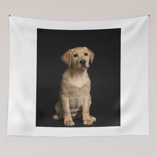 Item preview, Cute Labrador Retriever Puppy Picture designed and sold by VanGaldo.