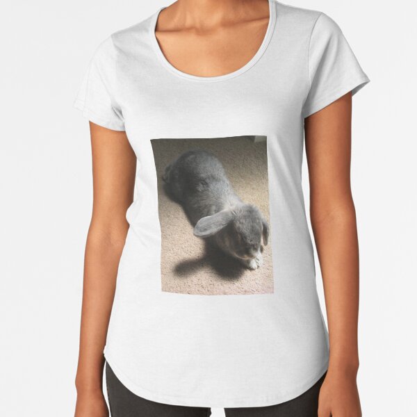 Chillaxing Premium Scoop T-Shirt