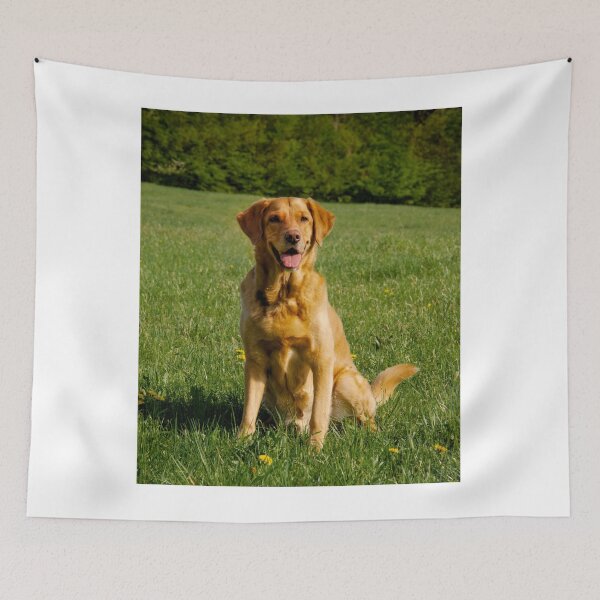 Item preview, Labrador Retriever Dog Resting on the Park designed and sold by VanGaldo.