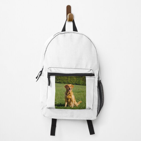 Item preview, Labrador Retriever Dog Resting on the Park designed and sold by VanGaldo.
