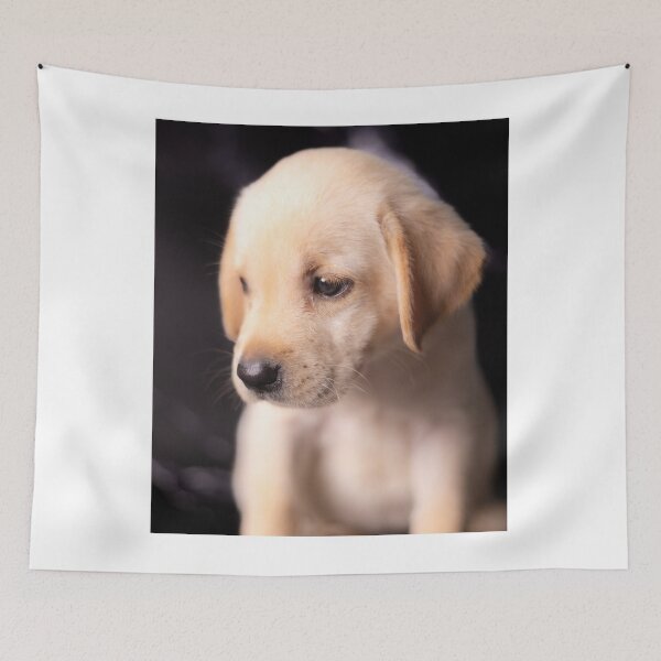 Item preview, Cute Picture of Labrador Retriever Puppy designed and sold by VanGaldo.