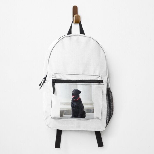 Item preview, Black Labrador Retriever Dog Patiently Waiting designed and sold by VanGaldo.