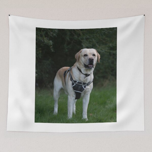 Item preview, Labrador Retriever Dog Observing Around designed and sold by VanGaldo.