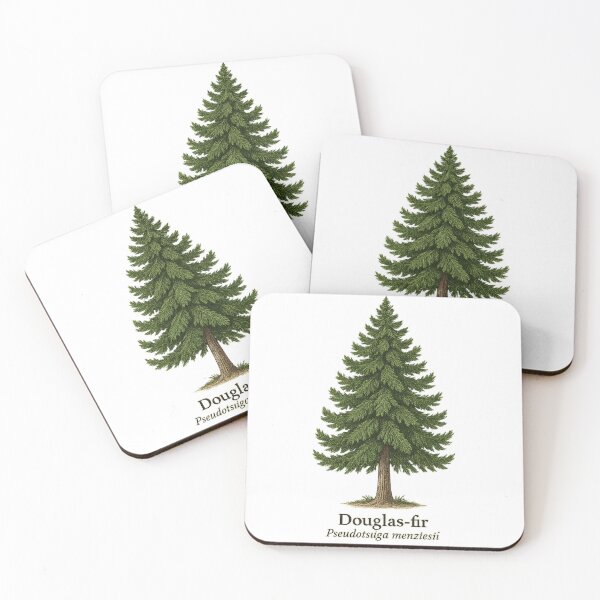 Item preview, Douglas-fir Botanical Illustration – Pseudotsuga menziesii designed and sold by BloomKind.