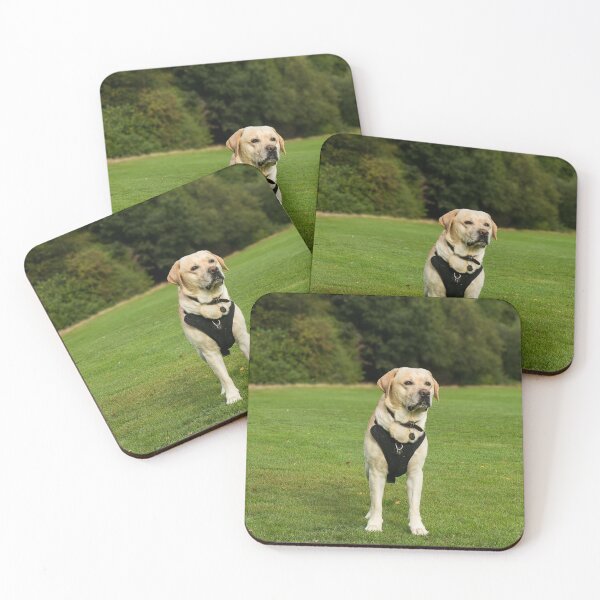 Item preview, Labrador Retriever Dog Loves the Park designed and sold by VanGaldo.