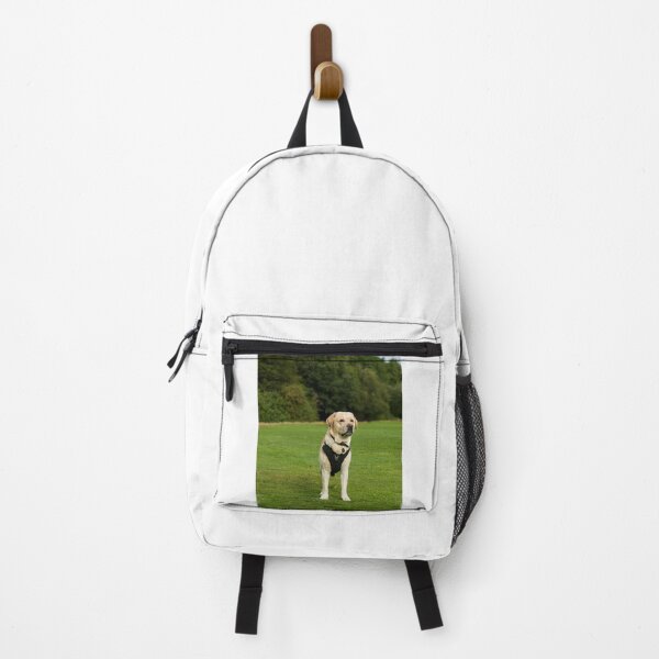 Item preview, Labrador Retriever Dog Loves the Park designed and sold by VanGaldo.