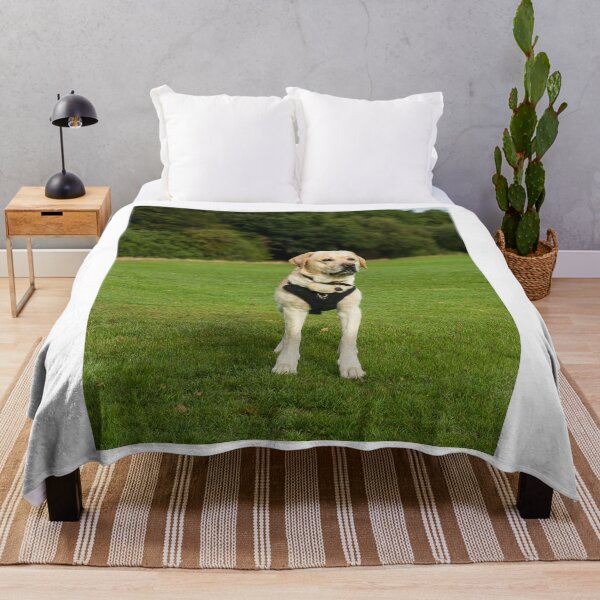 Item preview, Labrador Retriever Dog Loves the Park designed and sold by VanGaldo.