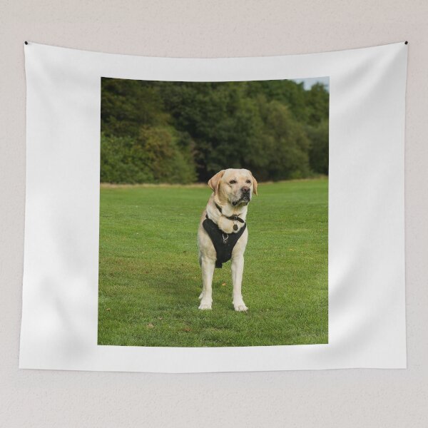 Item preview, Labrador Retriever Dog Loves the Park designed and sold by VanGaldo.