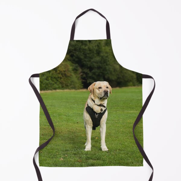 Item preview, Labrador Retriever Dog Loves the Park designed and sold by VanGaldo.