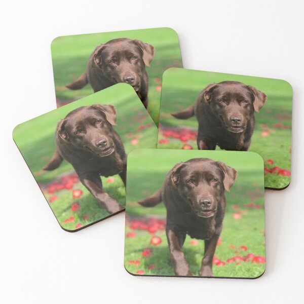 Item preview, Labrador Retriever Dog Inspecting Fall Apples designed and sold by VanGaldo.