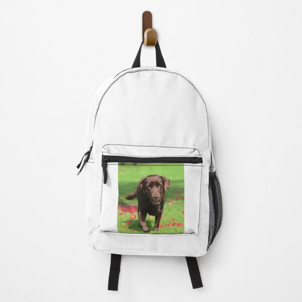 Item preview, Labrador Retriever Dog Inspecting Fall Apples designed and sold by VanGaldo.