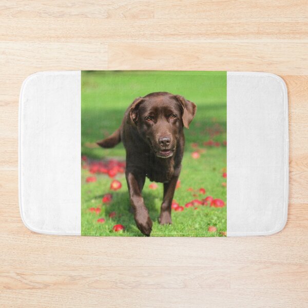 Item preview, Labrador Retriever Dog Inspecting Fall Apples designed and sold by VanGaldo.