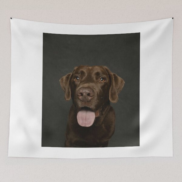 Item preview, Beautiful Choco Brown Labrador Retriever Dog designed and sold by VanGaldo.