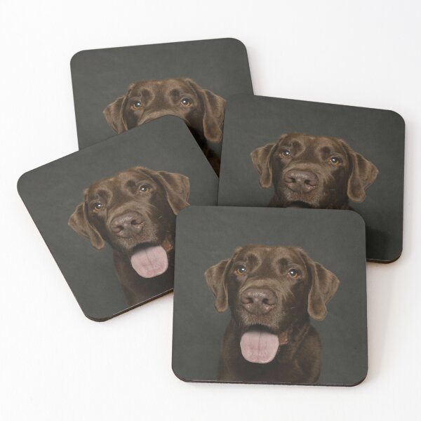 Item preview, Beautiful Choco Brown Labrador Retriever Dog designed and sold by VanGaldo.