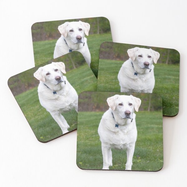 Item preview, Lovely White Labrador Retriever Dog designed and sold by VanGaldo.