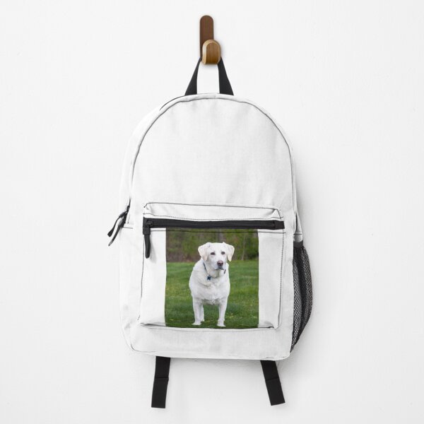 Item preview, Lovely White Labrador Retriever Dog designed and sold by VanGaldo.