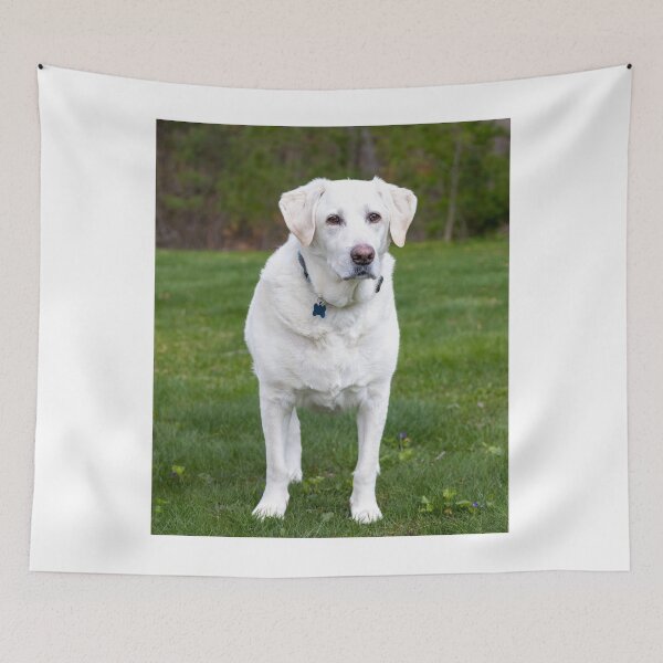 Item preview, Lovely White Labrador Retriever Dog designed and sold by VanGaldo.