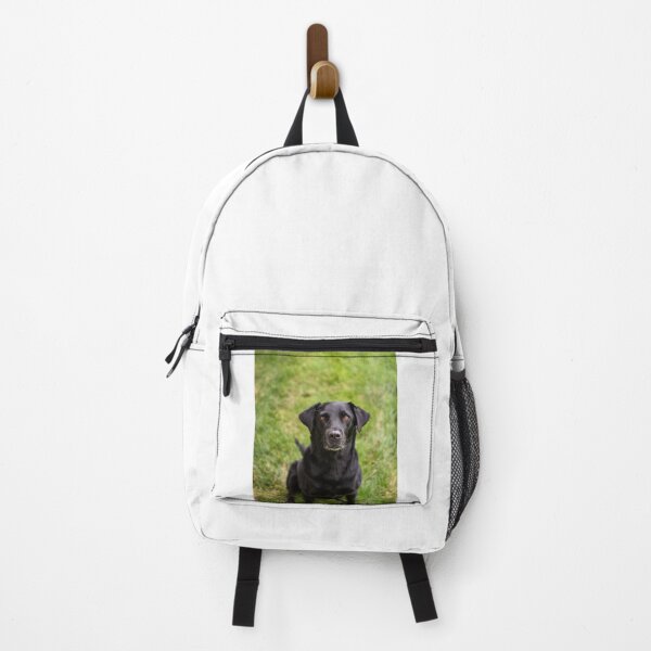 Item preview, Labrador Retriever Dog Waiting Patiently  designed and sold by VanGaldo.