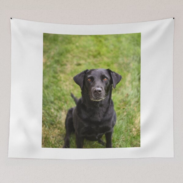 Item preview, Labrador Retriever Dog Waiting Patiently  designed and sold by VanGaldo.