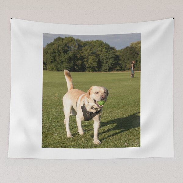 Item preview, Labrador Retriever Dog Playing Ball designed and sold by VanGaldo.