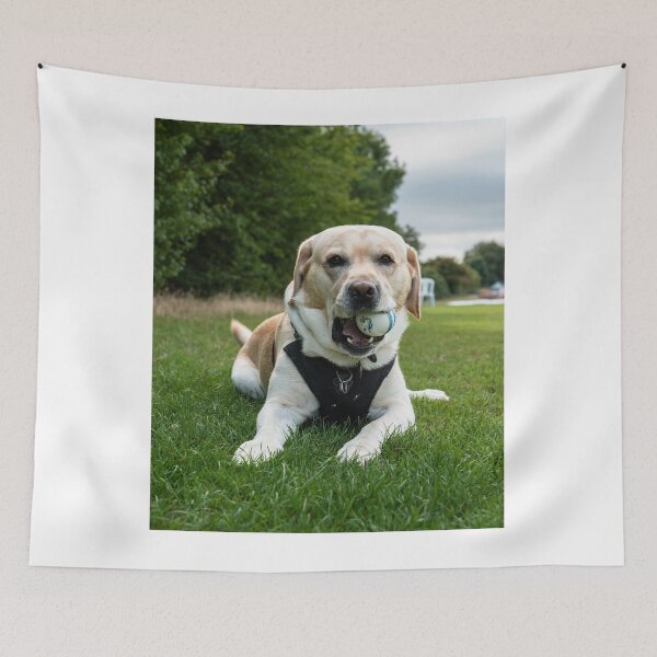 Item preview, Labrador Retriever Dog Loves to Play Ball designed and sold by VanGaldo.