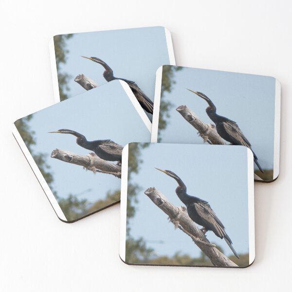 Item preview, Australasian dart designed and sold by Dan Parish Photography.