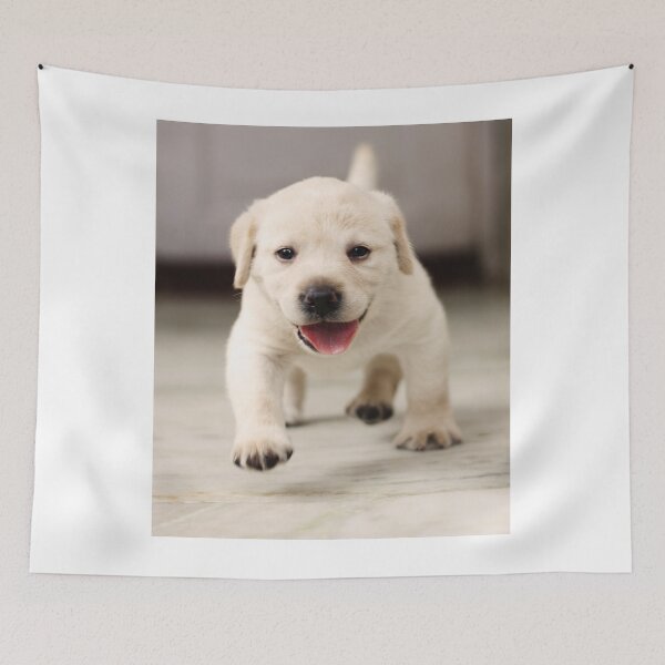 Item preview, Cutest Labrador Retriever Puppy Running designed and sold by VanGaldo.