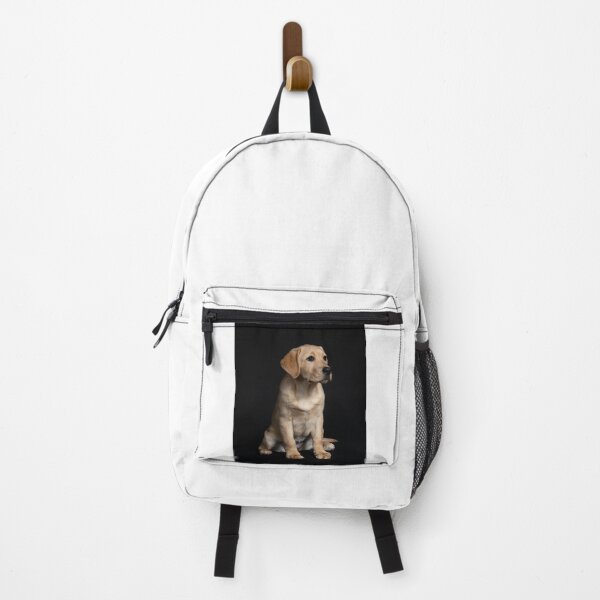 Item preview, Cute Labrador Retriever Puppy Taking Picture designed and sold by VanGaldo.