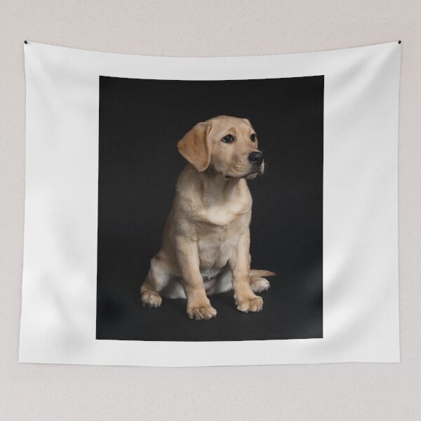 Item preview, Cute Labrador Retriever Puppy Taking Picture  designed and sold by VanGaldo.