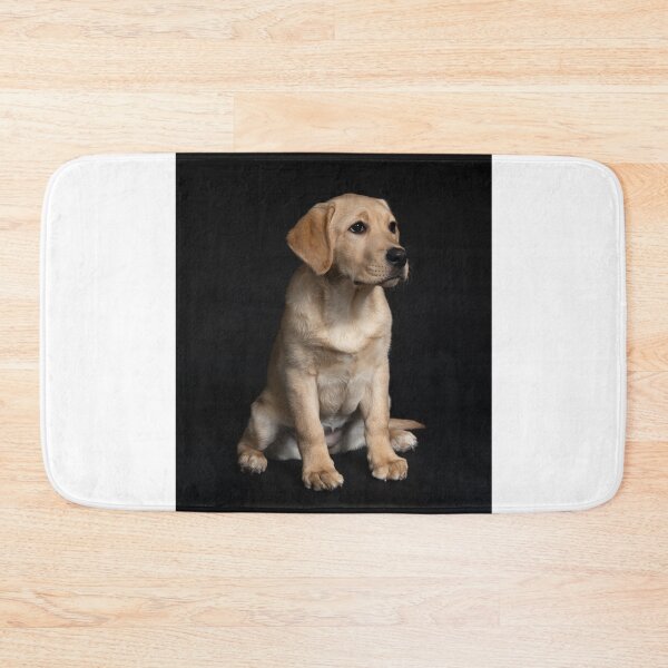 Item preview, Cute Labrador Retriever Puppy Taking Picture  designed and sold by VanGaldo.