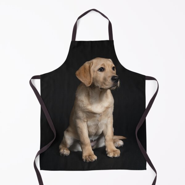 Item preview, Cute Labrador Retriever Puppy Taking Picture designed and sold by VanGaldo.
