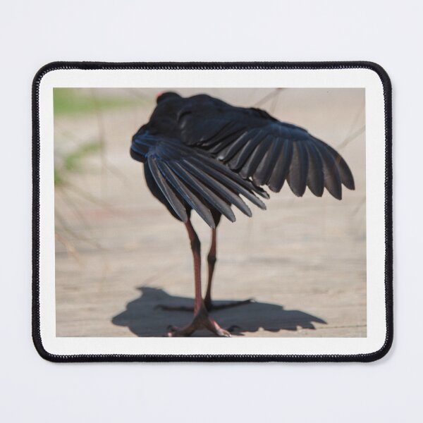 Item preview, bird walking away designed and sold by Dan Parish Photography.