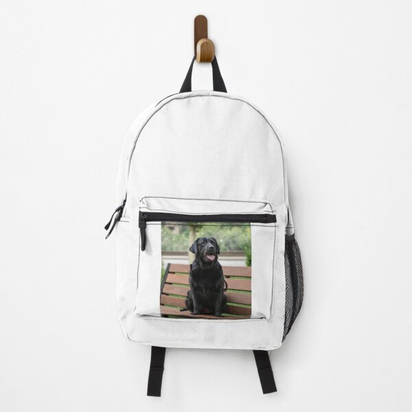 Item preview, Black Labrador Retriever Sitting on the Bench designed and sold by VanGaldo.