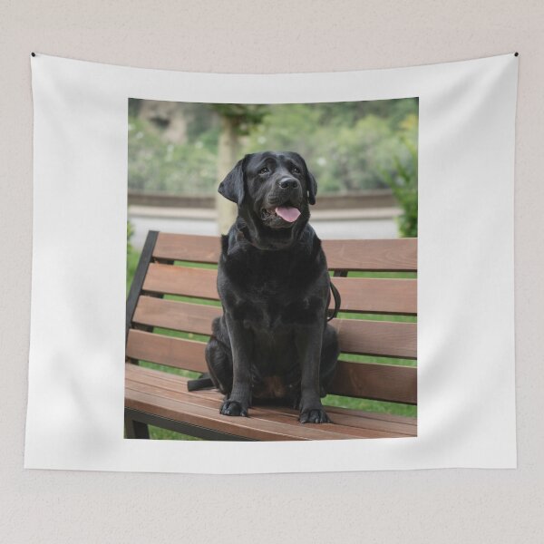 Item preview, Black Labrador Retriever Sitting on the Bench designed and sold by VanGaldo.