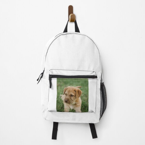 Item preview, Cute Labrador Retriever Puppy Playing on Grass designed and sold by VanGaldo.
