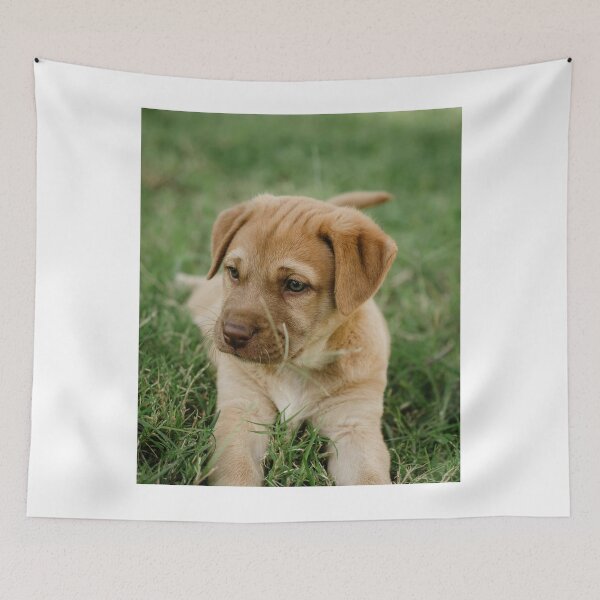 Item preview, Cute Labrador Retriever Puppy Playing on Grass designed and sold by VanGaldo.