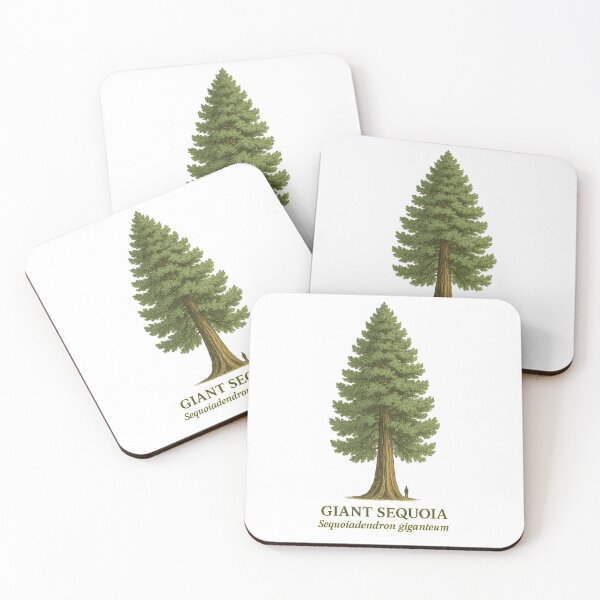 Artikelvorschau, Botanische Illustration eines Riesenmammutbaums – Sequoiadendron giganteum entworfen und verkauft von BloomKind.