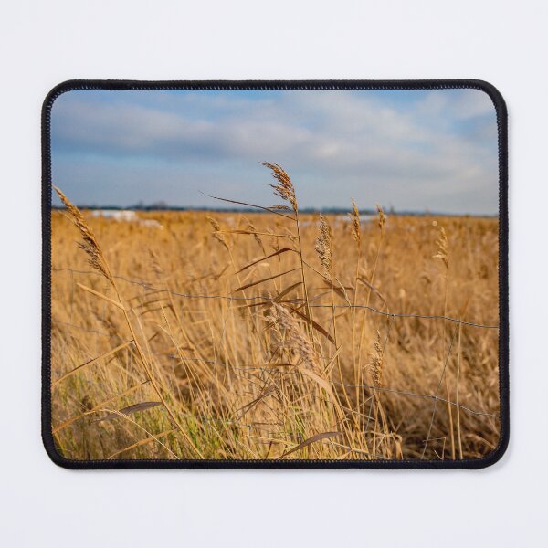 Item preview, Golden reeds designed and sold by yackers1.
