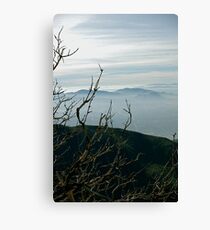Viewpoint Canvas Print