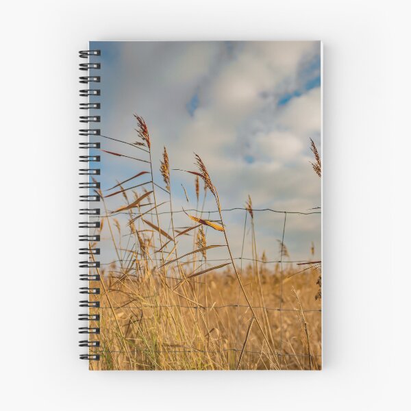 Item preview, Golden reeds in the countryside designed and sold by yackers1.